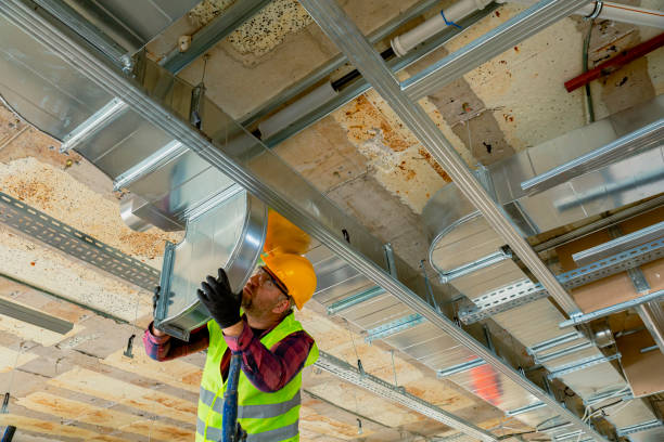 Best HVAC air duct cleaning  in Whiteville, TN